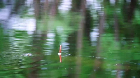 Frog hunting fishing float. Stock Footage 50417890