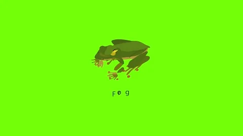 Frog icon animation Stock Footage 153610951