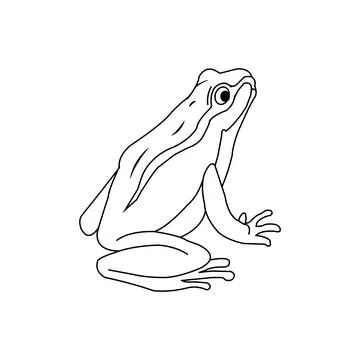 Frog icon Stock Illustration