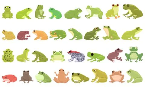 Frog icons set cartoon vector. Toad water Stock Illustration