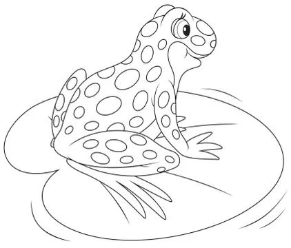 Frog Stock Illustration