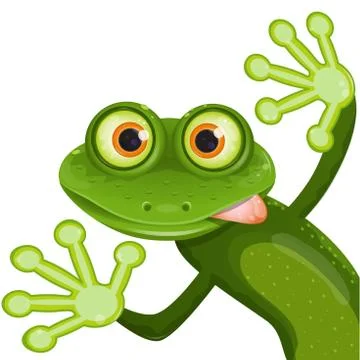 Frog Stock Illustration