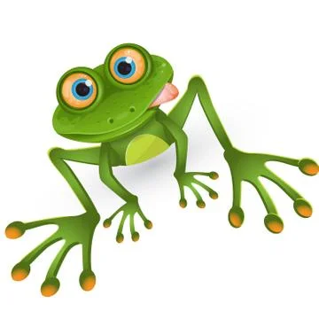 Frog Stock Illustration