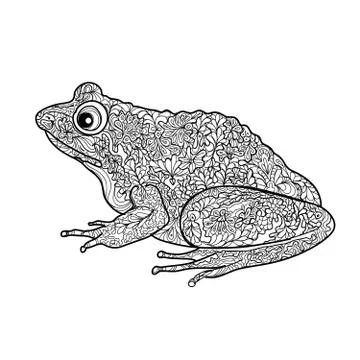 Frog isolated. Black and white ornamental doodle frog illustration Stock Illustration