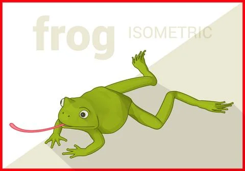Frog isometric flat vector 3d Frog isometric flat 3d illustration. Toad hu... Stock Photos