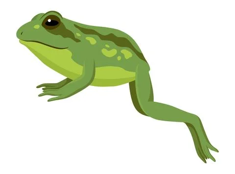 Frog jumping animation icon. Sequences or footage for motion design. Cartoon Stock Illustration