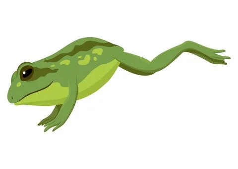 Frog jumping animation icon. Sequences or footage for motion design. Cartoon Stock Illustration