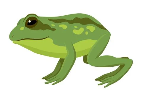 Frog jumping animation icon. Sequences or footage for motion design. Cartoon Stock Illustration