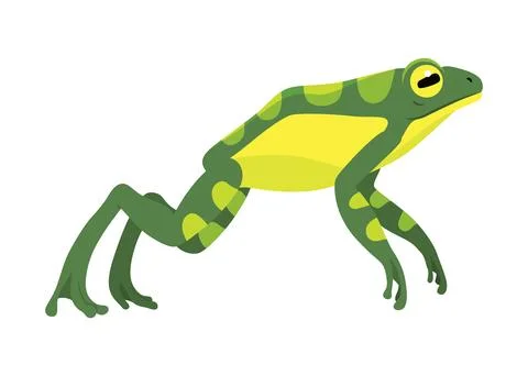 Frog jumping animation icon. Sequences or footage for motion design. Cartoon Illustrazione stock