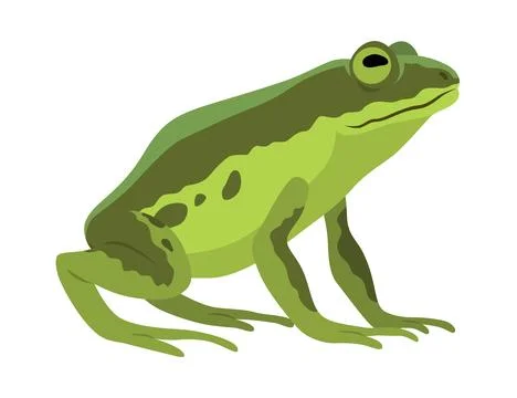 Frog jumping animation icon. Sequences or footage for motion design. Cartoon Illustrazione stock