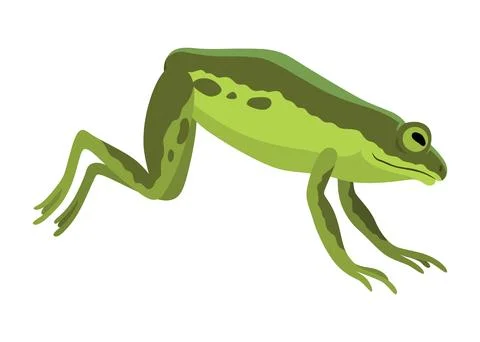 Frog jumping animation icon. Sequences or footage for motion design. Cartoon Illustrazione stock