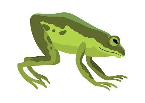 Frog jumping animation icon. Sequences or footage for motion design. Cartoon Stock Illustration