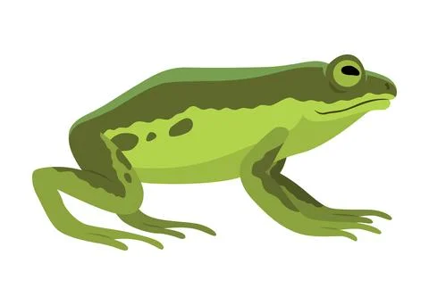 Frog jumping animation icon. Sequences or footage for motion design. Cartoon 스톡 일러스트