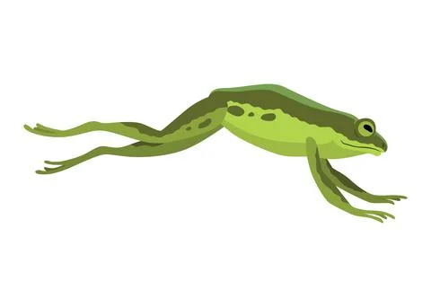 Frog jumping animation icon. Sequences or footage for motion design. Cartoon Illustrazione stock