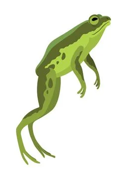 Frog jumping animation icon. Sequences or footage for motion design. Cartoon Illustrazione stock