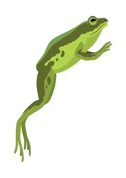 Frog jumping animation icon. Sequences or footage for motion design. Cartoon Illustrazione stock
