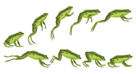 Frog jumping animation icon set. Sequences or footage for motion design. Cartoon Stock Illustration