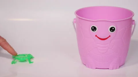 Frog jumps into a bucket Stock Footage 44208371