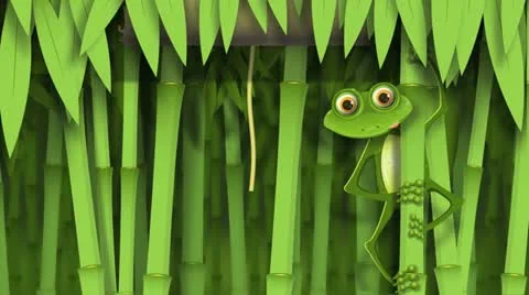 Frog in the jungle Stock Footage 10856366