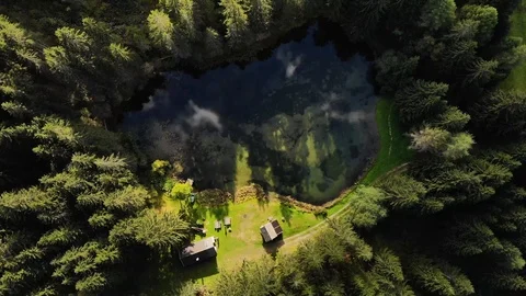 Frog lake | waldsee Stock Footage 95669868