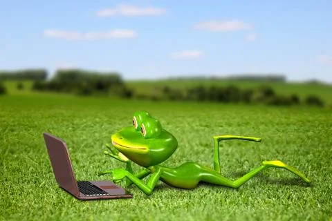 Frog with a laptop on the grass Stock Illustration