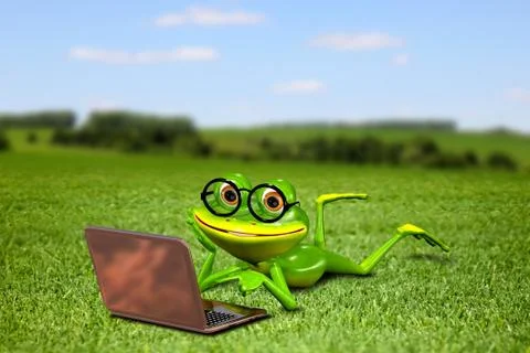 Frog with a laptop on the grass Stock Illustration