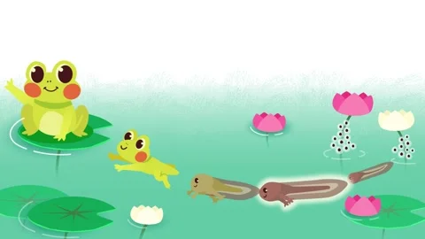 Frog Life Cycle Stock Footage 246250573