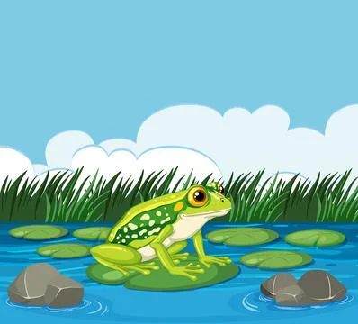 Frog on Lily Pad in Pond Stock Illustration