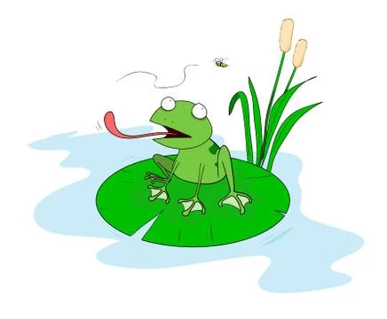 Frog On A Lilypad Stock Illustration