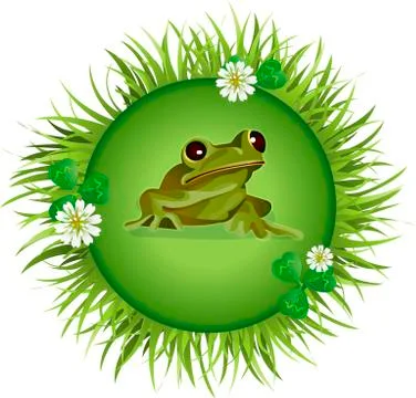 Frog on the meadow Stock Illustration