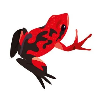 Frog nature illustration Stock Illustration