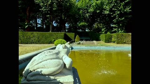 Frog at the park Stock Footage 208887544