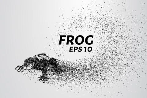 Frog of particles. Frog scattered on the circles and points. Stock Illustration