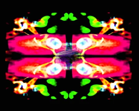 Frog pattern Stock Footage 1005627