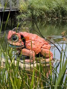 Frog Stock Photos