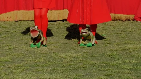 Frog puppets dancing and talking at outdoor retro marionette show Stock Footage 125642505