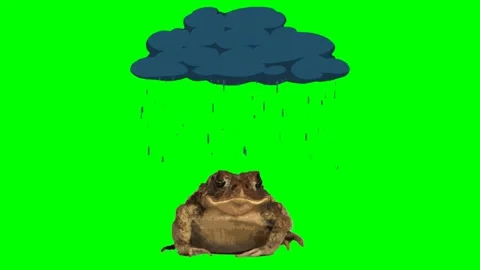 Frog in the rain. Video stock 134969295