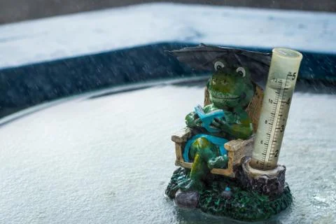 Frog Rain Gauge Foto stock