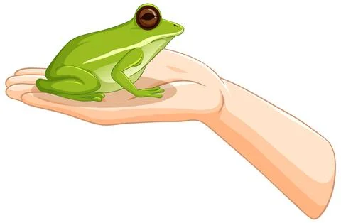 Frog Resting on a Gentle Hand Stock Illustration