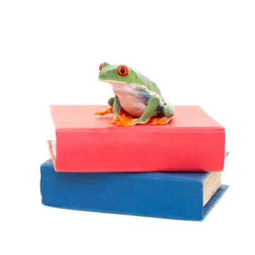 Frog on science books Stock Photos
