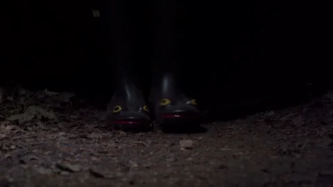 Frog-Shaped Rain Boot On Forest Path At Night With Leaf Litter, Low Angle Shot Stock Footage 337896425
