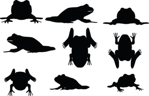 Frog silhouette Stock Illustration