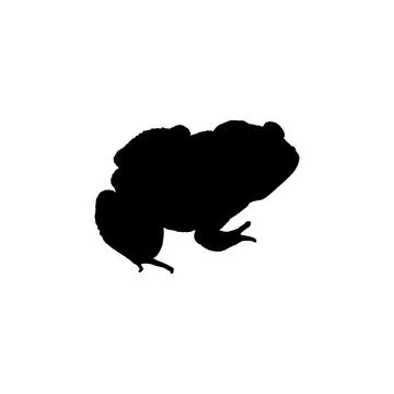 Frog Silhouette Stock Illustration