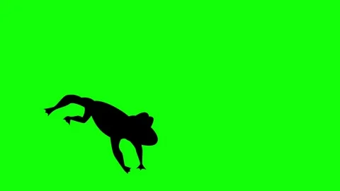 Frog silhouette jumping on green screen animation (Chroma key) Stock Footage 298001832