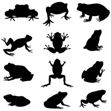 Frog silhouette set Stock Illustration