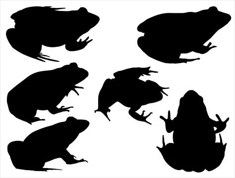 FROG SILHOUETTE VECTOR ART Stock Illustration