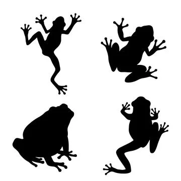 Frog Silhouette on white background. Set of vector frogs in different poses. Stock Illustration