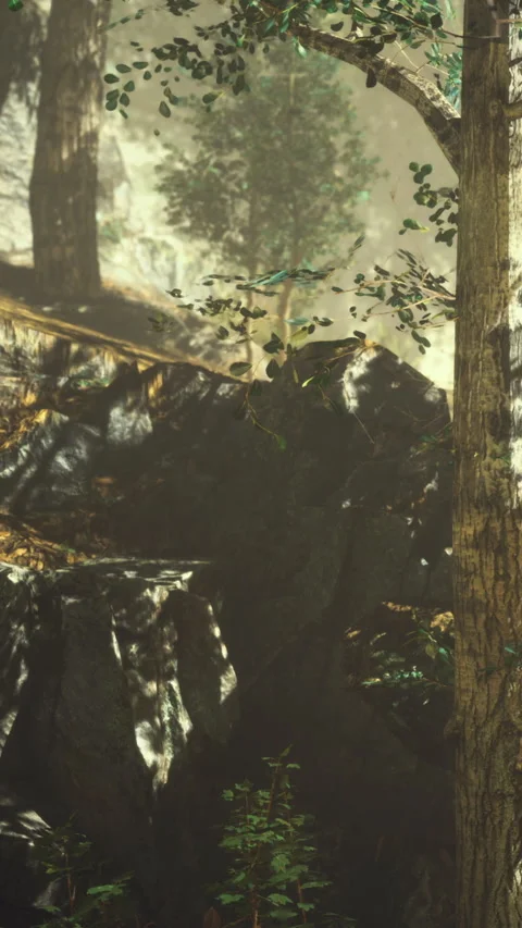 A frog sits on a rock among trees in a forest Stock Footage 334190433