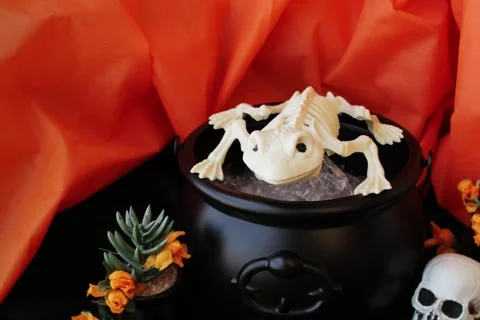 Frog skeleton escaping from witch's cauldron. Video stock 286769897
