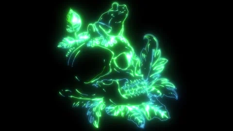 Frog on the skull and leaves 스톡 동영상 274942875